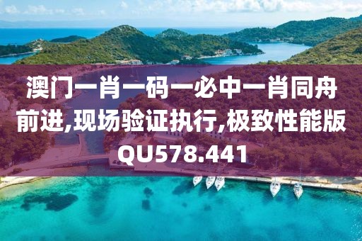 澳门一肖一码一必中一肖同舟前进,现场验证执行,极致性能版QU578.441