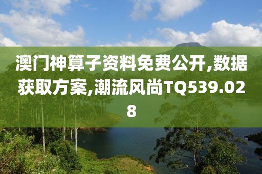澳门神算子资料免费公开,数据获取方案,潮流风尚TQ539.028