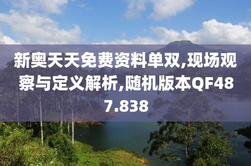 新奥天天免费资料单双,现场观察与定义解析,随机版本QF487.838