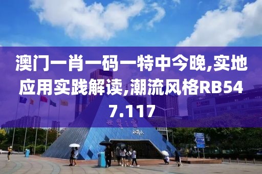 澳门一肖一码一特中今晚,实地应用实践解读,潮流风格RB547.117