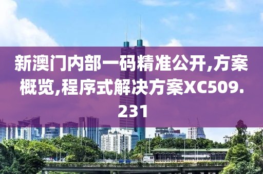 新澳门内部一码精准公开,方案概览,程序式解决方案XC509.231