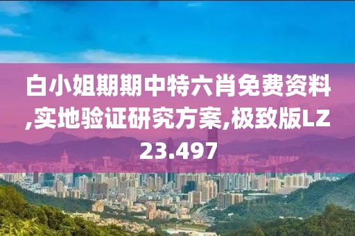 白小姐期期中特六肖免费资料,实地验证研究方案,极致版LZ23.497