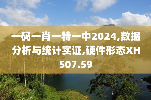 一码一肖一特一中2024,数据分析与统计实证,硬件形态XH507.59