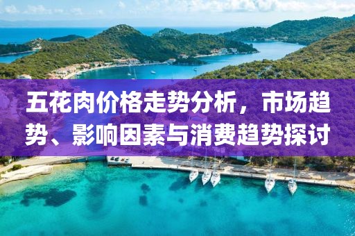 五花肉价格走势分析，市场趋势、影响因素与消费趋势探讨