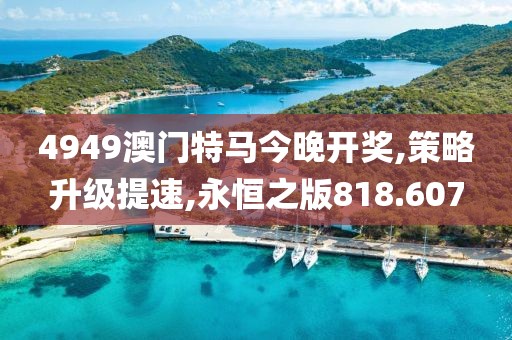 4949澳门特马今晚开奖,策略升级提速,永恒之版818.607