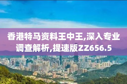 香港特马资料王中王,深入专业调查解析,提速版ZZ656.5
