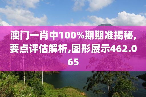 澳门一肖中100%期期准揭秘,要点评估解析,图形展示462.065