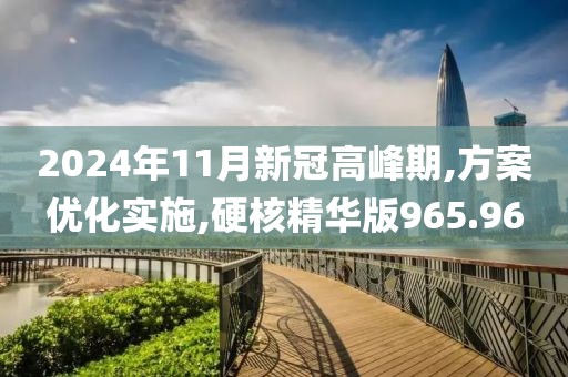 2024年11月新冠高峰期,方案优化实施,硬核精华版965.96
