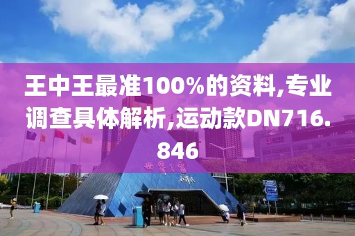 王中王最准100%的资料,专业调查具体解析,运动款DN716.846