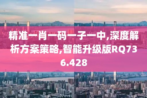 精准一肖一码一子一中,深度解析方案策略,智能升级版RQ736.428