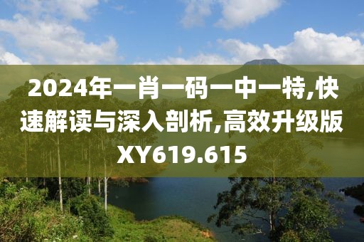 2024年一肖一码一中一特,快速解读与深入剖析,高效升级版XY619.615