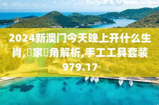2024新澳门今天晚上开什么生肖,專家視角解析,手工工具套装979.17