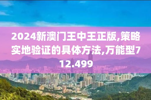 2024新澳门王中王正版,策略实地验证的具体方法,万能型712.499