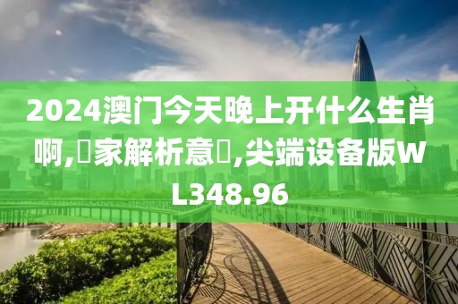 2024澳门今天晚上开什么生肖啊,專家解析意見,尖端设备版WL348.96