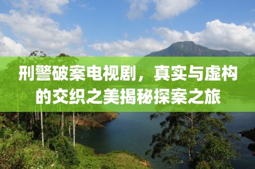刑警破案电视剧，真实与虚构的交织之美揭秘探案之旅