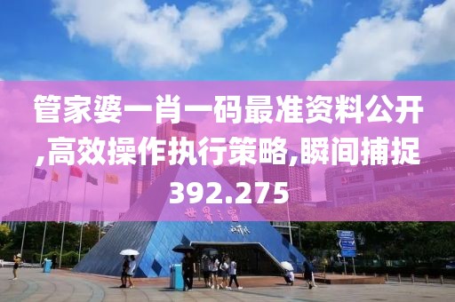 管家婆一肖一码最准资料公开,高效操作执行策略,瞬间捕捉392.275