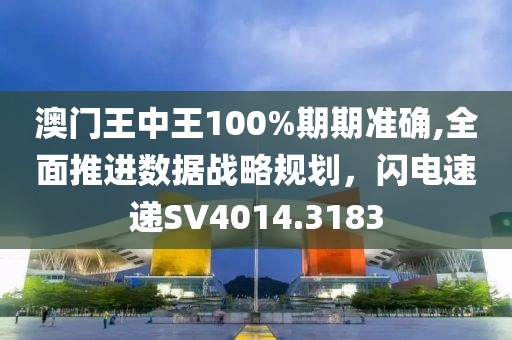 澳门王中王100%期期准确,全面推进数据战略规划，闪电速递SV4014.3183