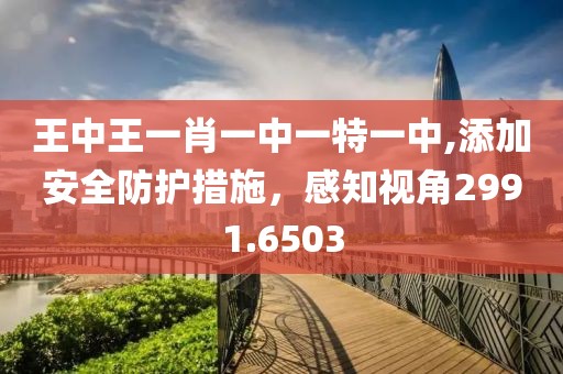 王中王一肖一中一特一中,添加安全防护措施，感知视角2991.6503