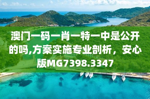 澳门一码一肖一特一中是公开的吗,方案实施专业剖析，安心版MG7398.3347