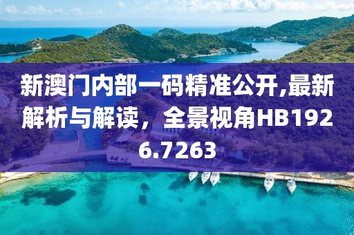新澳门内部一码精准公开,最新解析与解读，全景视角HB1926.7263