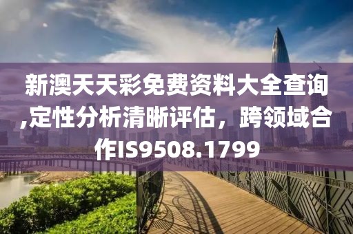 新澳天天彩免费资料大全查询,定性分析清晰评估，跨领域合作IS9508.1799