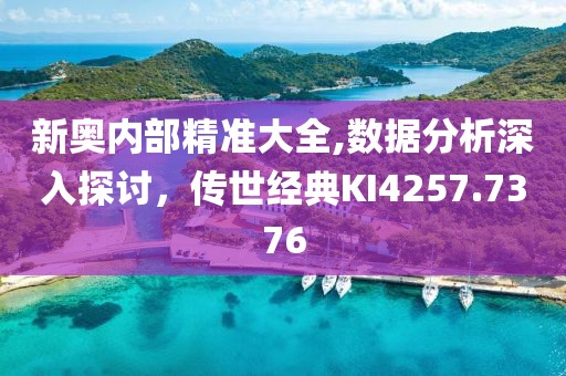 新奥内部精准大全,数据分析深入探讨，传世经典KI4257.7376