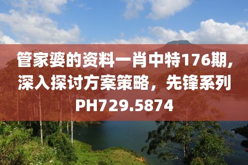 管家婆的资料一肖中特176期,深入探讨方案策略，先锋系列PH729.5874