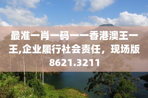 最准一肖一码一一香港澳王一王,企业履行社会责任，现场版8621.3211