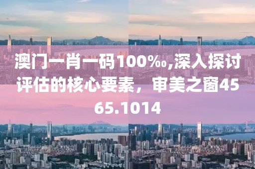 澳门一肖一码100‰,深入探讨评估的核心要素，审美之窗4565.1014