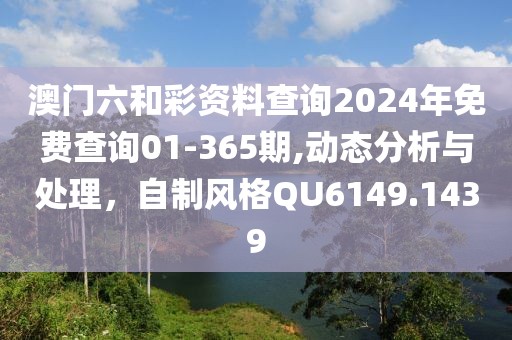 澳门六和彩资料查询2024年免费查询01-365期,动态分析与处理，自制风格QU6149.1439