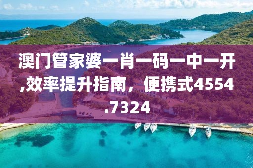 澳门管家婆一肖一码一中一开,效率提升指南，便携式4554.7324