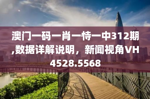 澳门一码一肖一恃一中312期,数据详解说明，新闻视角VH4528.5568