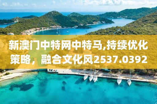 新澳门中特网中特马,持续优化策略，融合文化风2537.0392