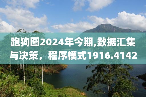跑狗图2024年今期,数据汇集与决策，程序模式1916.4142