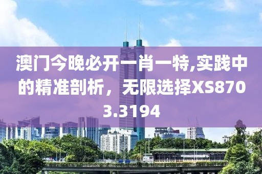 澳门今晚必开一肖一特,实践中的精准剖析，无限选择XS8703.3194