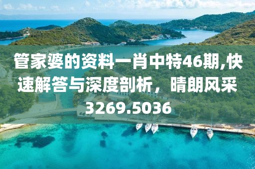 管家婆的资料一肖中特46期,快速解答与深度剖析，晴朗风采3269.5036