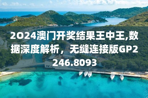 2O24澳门开奖结果王中王,数据深度解析，无缝连接版GP2246.8093