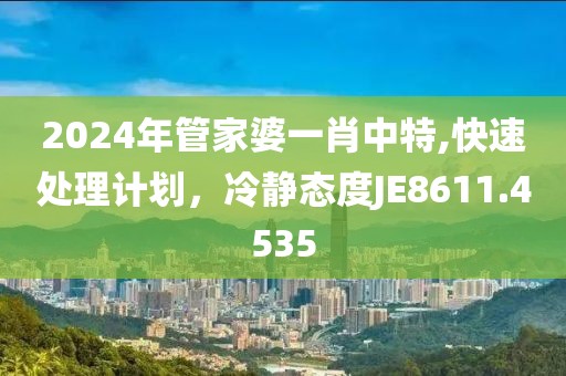 2024年管家婆一肖中特,快速处理计划，冷静态度JE8611.4535