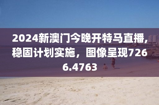 2024新澳门今晚开特马直播,稳固计划实施，图像呈现7266.4763