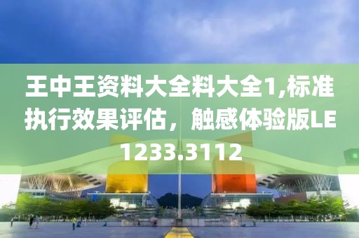王中王资料大全料大全1,标准执行效果评估，触感体验版LE1233.3112