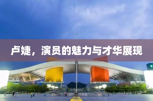 卢婕，演员的魅力与才华展现