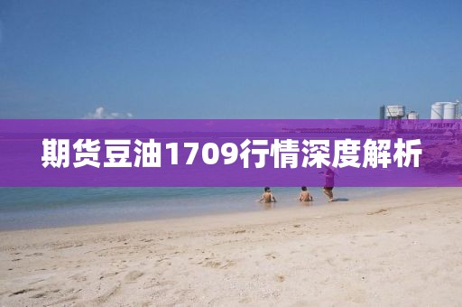 期货豆油1709行情深度解析