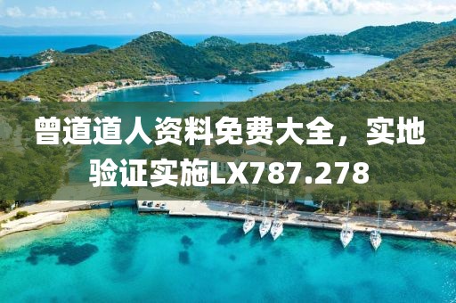 曾道道人资料免费大全，实地验证实施LX787.278