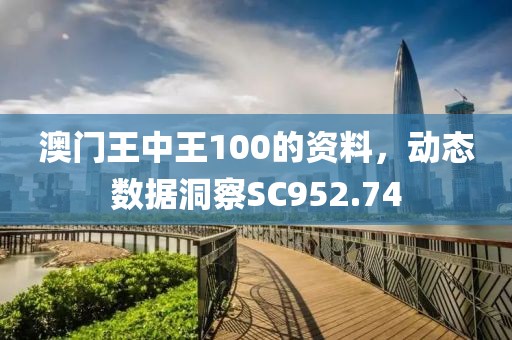 澳门王中王100的资料，动态数据洞察SC952.74