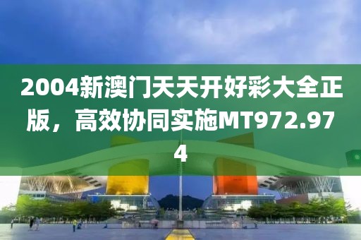 2004新澳门天天开好彩大全正版，高效协同实施MT972.974