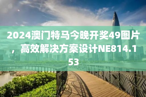 2024澳门特马今晚开奖49图片，高效解决方案设计NE814.153