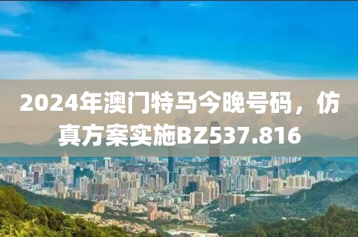 2024年澳门特马今晚号码，仿真方案实施BZ537.816