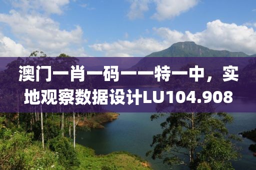 澳门一肖一码一一特一中，实地观察数据设计LU104.908