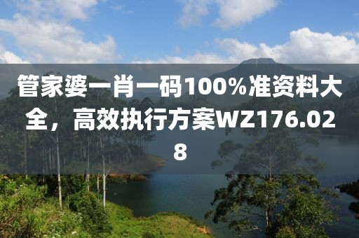 管家婆一肖一码100%准资料大全，高效执行方案WZ176.028
