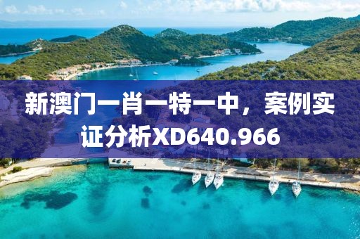 新澳门一肖一特一中，案例实证分析XD640.966